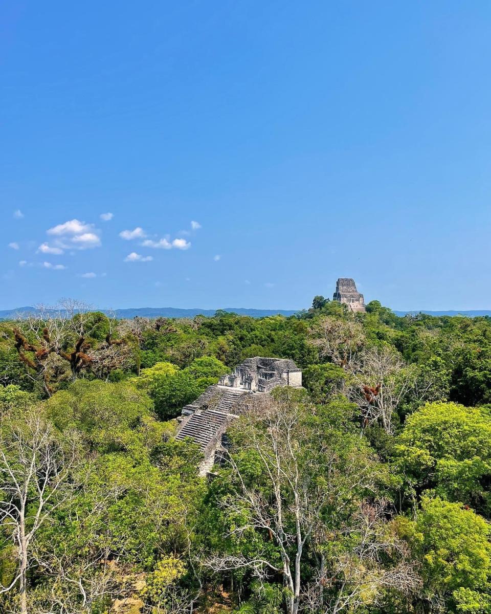 Tikal National Park (Meg Honigmann)