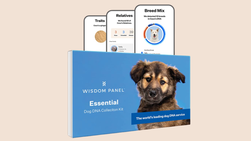 Head to Amazon for National Pet Day deals on dog treats, pet DNA tests, cat toys and more.