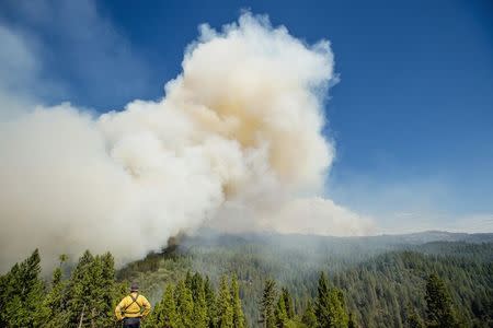 A firefighter watches the King Fire burn near Fresh Pond, California September 17, 2014. REUTERS/Noah Berger