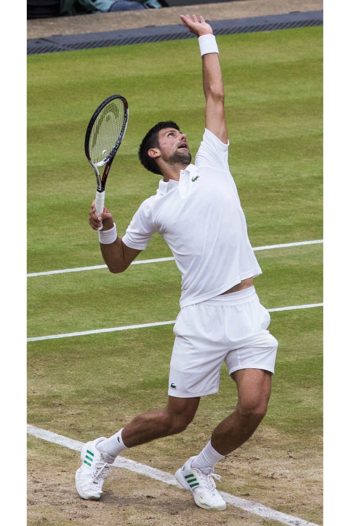 Tennis Player Novak Djokovic