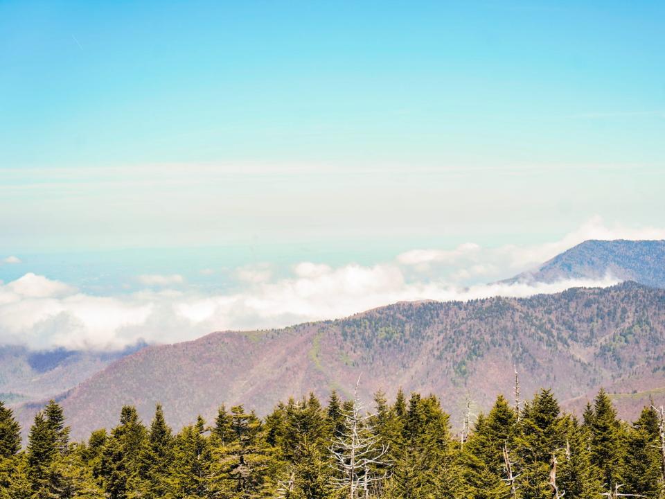 The Great Smoky Mountains viewed from the trail to Clingman's Dome.
