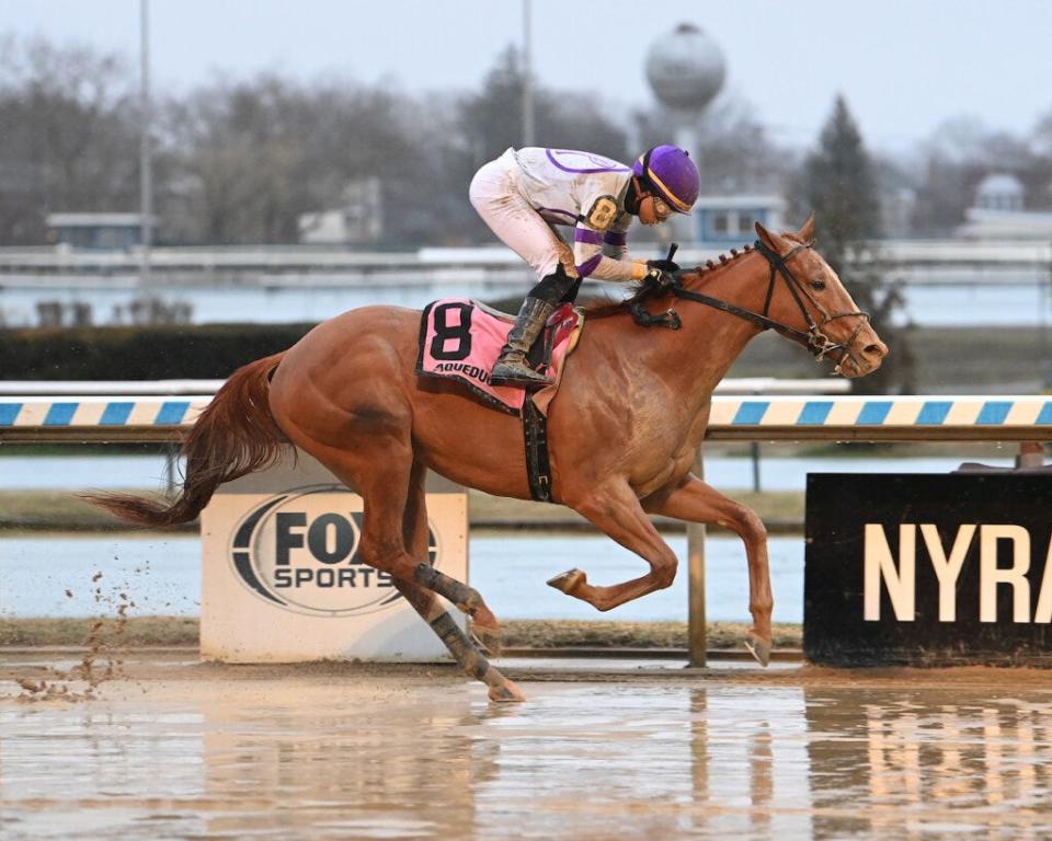 Society Man and jockey Luis Rivera Jr. win a maiden race March 9 at Aqueduct.