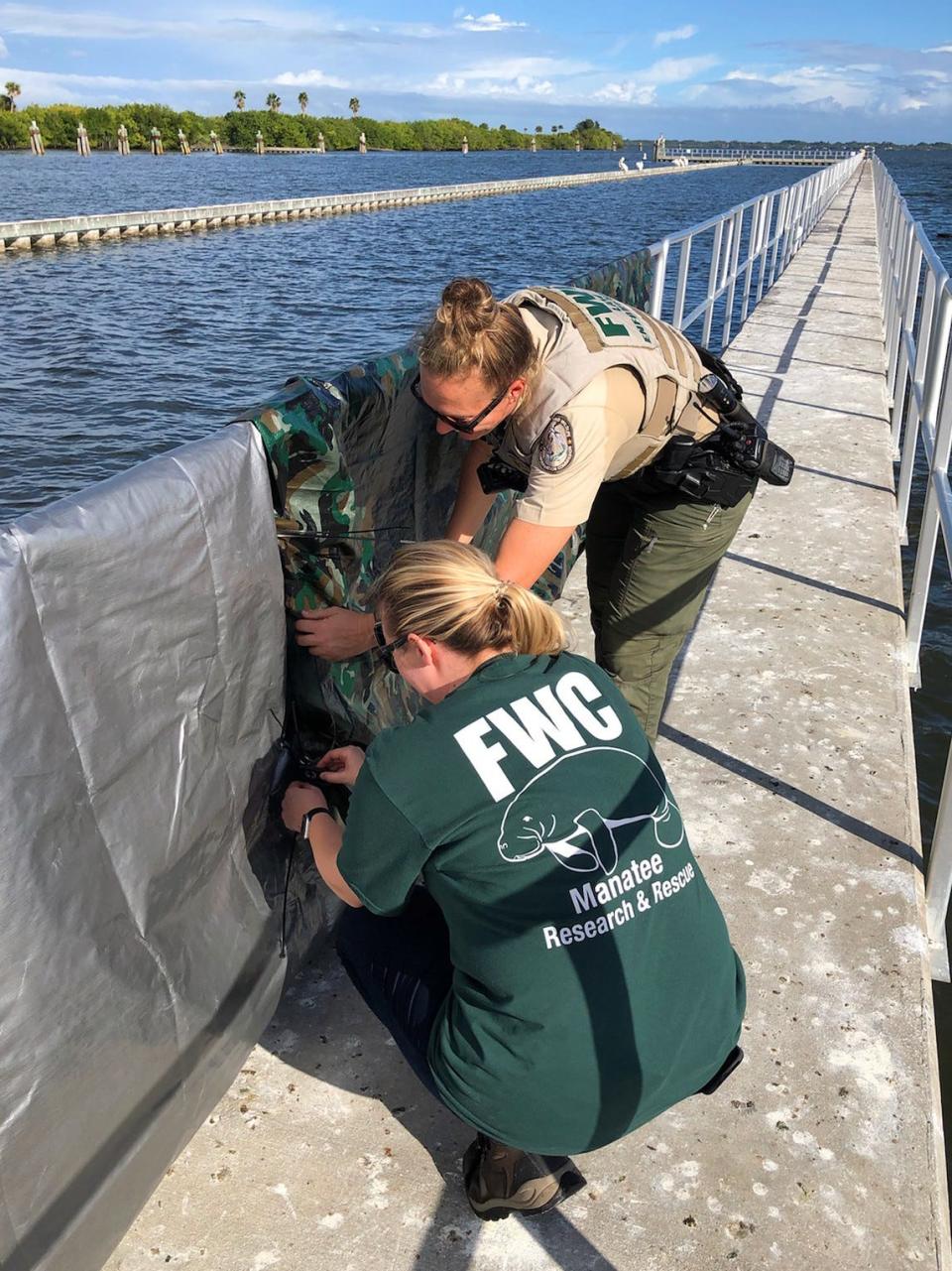 Responders with the Florida Fish and Wildlife Conservation Commission create a visual barrier for manatees in the temporary feeding site.