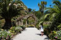 <p>If there's one place in the UK that will make you feel like you're somewhere more tropical it's the Isles of Scilly, where you'll find white sand beaches, milder temperatures and the exotic Tresco Abbey Garden. A botanical paradise home to 20,000 plant species, this must-see garden was planted among the ruins of a Benedictine priory. </p><p>You can learn all about its secrets from the Isles of Scilly's top guide Will Wagstaff as he takes you to see the archipelago's highlights in May 2021, including the unspoilt beaches, wildlife spotting and the best viewpoints.</p><p><a class="link " href="https://www.countrylivingholidays.com/tours/isles-of-scilly-will-wagstaff" rel="nofollow noopener" target="_blank" data-ylk="slk:FIND OUT MORE;elm:context_link;itc:0;sec:content-canvas">FIND OUT MORE</a></p>