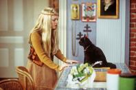 Salem wäre so gerne wieder ein Mensch! Schade nur, dass er dazu verflucht ist, eine Katze zu bleiben. Früher war er ein Hexenmeister, jetzt steht er Jung-Hexe Sabrina (Melissa Joan Hart) in "Sabrina - total verhext" (1996 - 2003) zur Seite. Eine menschliche Fähigkeit hat er aber noch immer: das Sprechen. So kann er zu jeder Zeit seinen Senf dazugeben. (Bild: KSM Film)