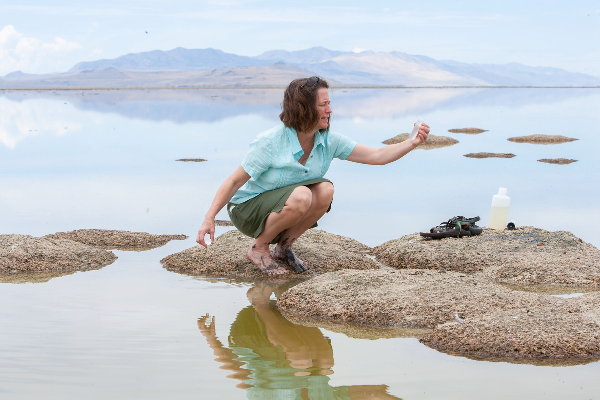 Dr Bonnie Baxter, a biology professor at Westminster College in Utah, is fighting to save the state’s iconic Great Salt Lake from drying up (Adam Finkle/ajfphoto.com)