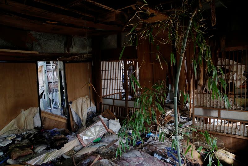 The Wider Image: The man who saves forgotten cats in Fukushima's nuclear zone