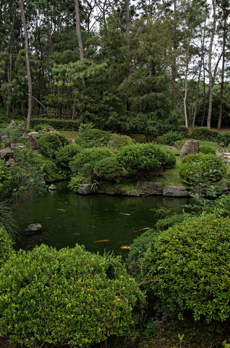 japanese garden