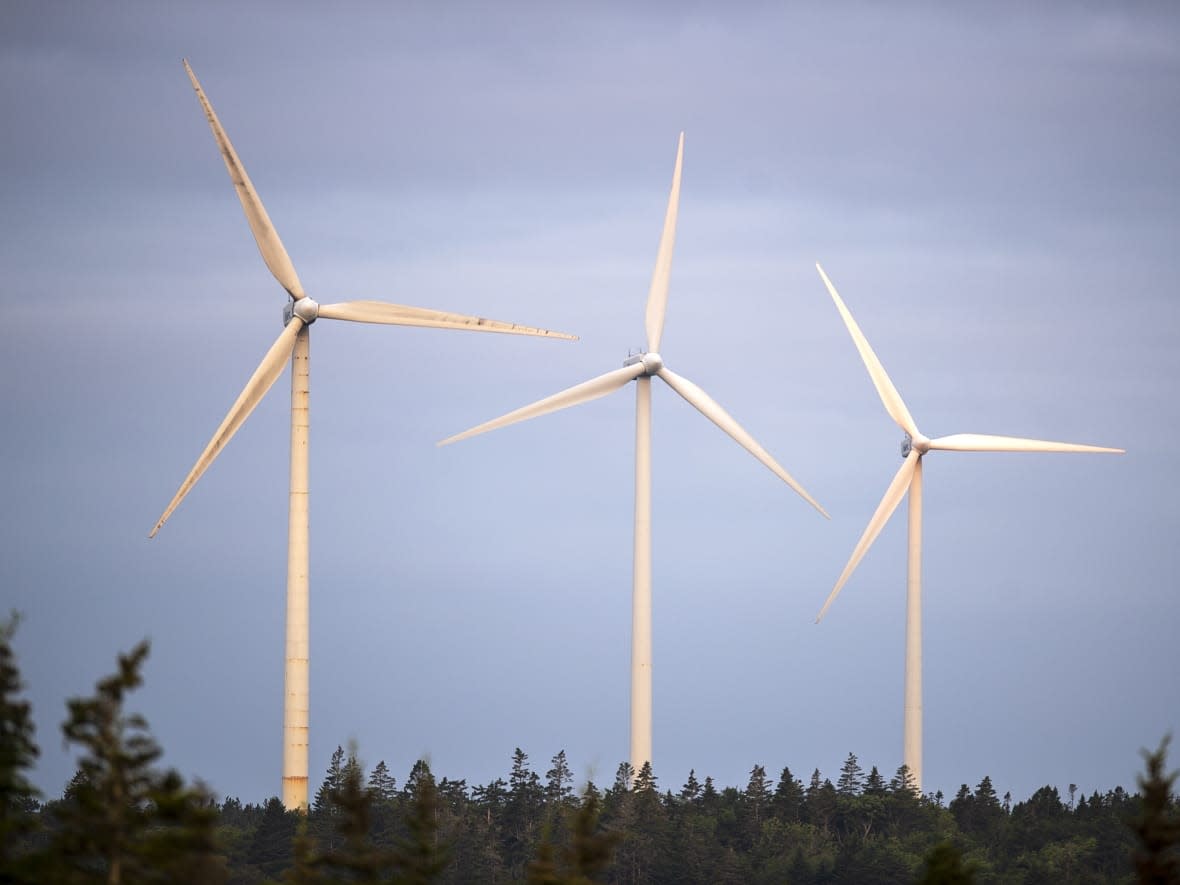 There are a number of companies looking at Newfoundland as a potential site for wind energy projects — including World Energy GH2, which has a potential plan for an operation on the island's west coast. (Andrew Vaughan/The Canadian Press - image credit)