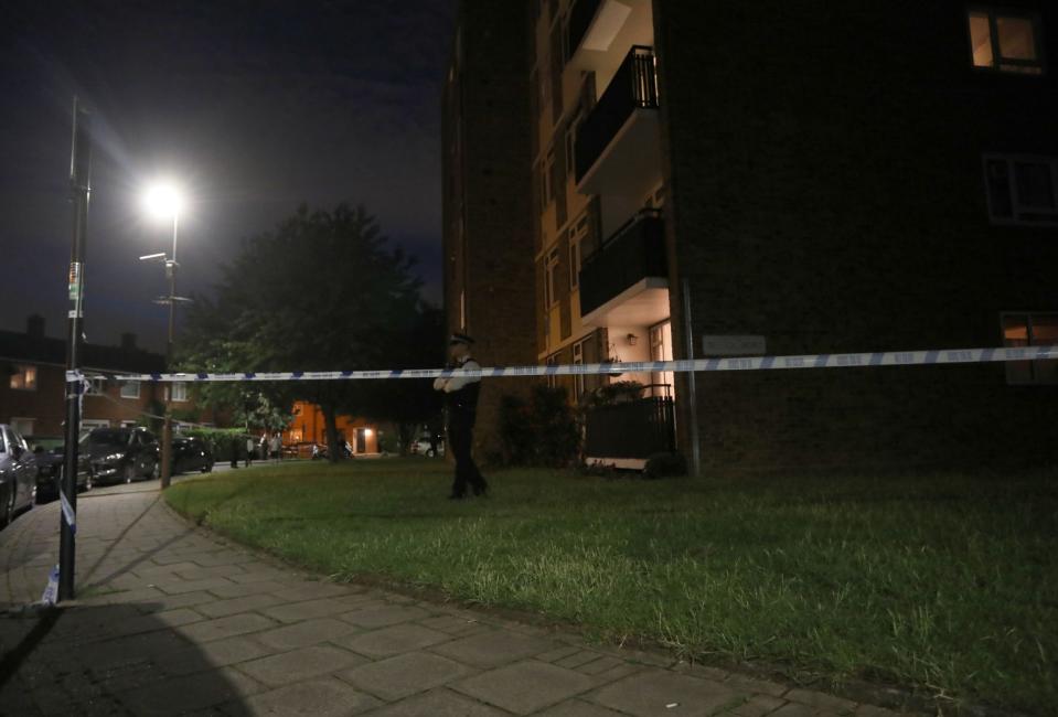 Plumstead and Wandsworth murders: Fourteen arrests after two killed and three injured in 12 hours of violence in south London