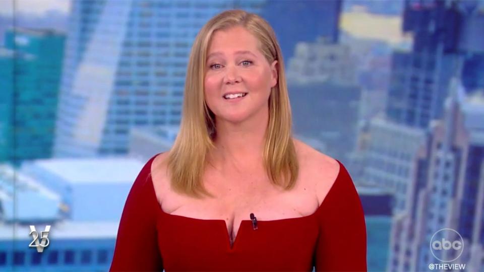 Amy Schumer on The View