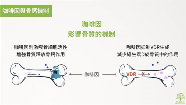 （圖片／林世航營養師提供）