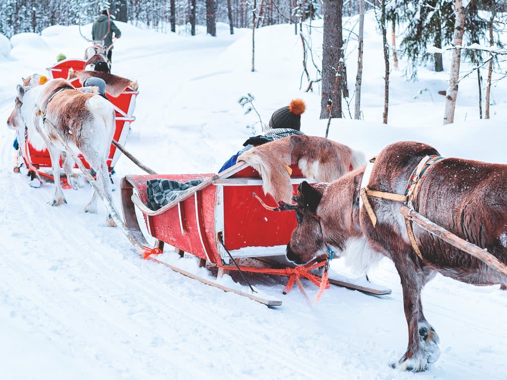 Dashing to the snow: Tui flew an plane from the Midlands to Lapland to deliver Covid tests  (Tui UK)