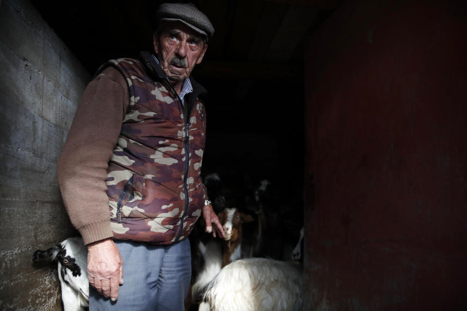 In this Tuesday, May 14, 2019, photo Thanassis Lepeniotis, 82, tents his goats in Kerasohori village at Evrytania region, in central Greece. As balloting for the European Parliament gets underway Thursday and continues through Sunday voters over 55 are emerging as a powerful bloc on a rapidly aging continent as younger voters stay away from the polls in growing numbers. (AP Photo/Thanassis Stavrakis)