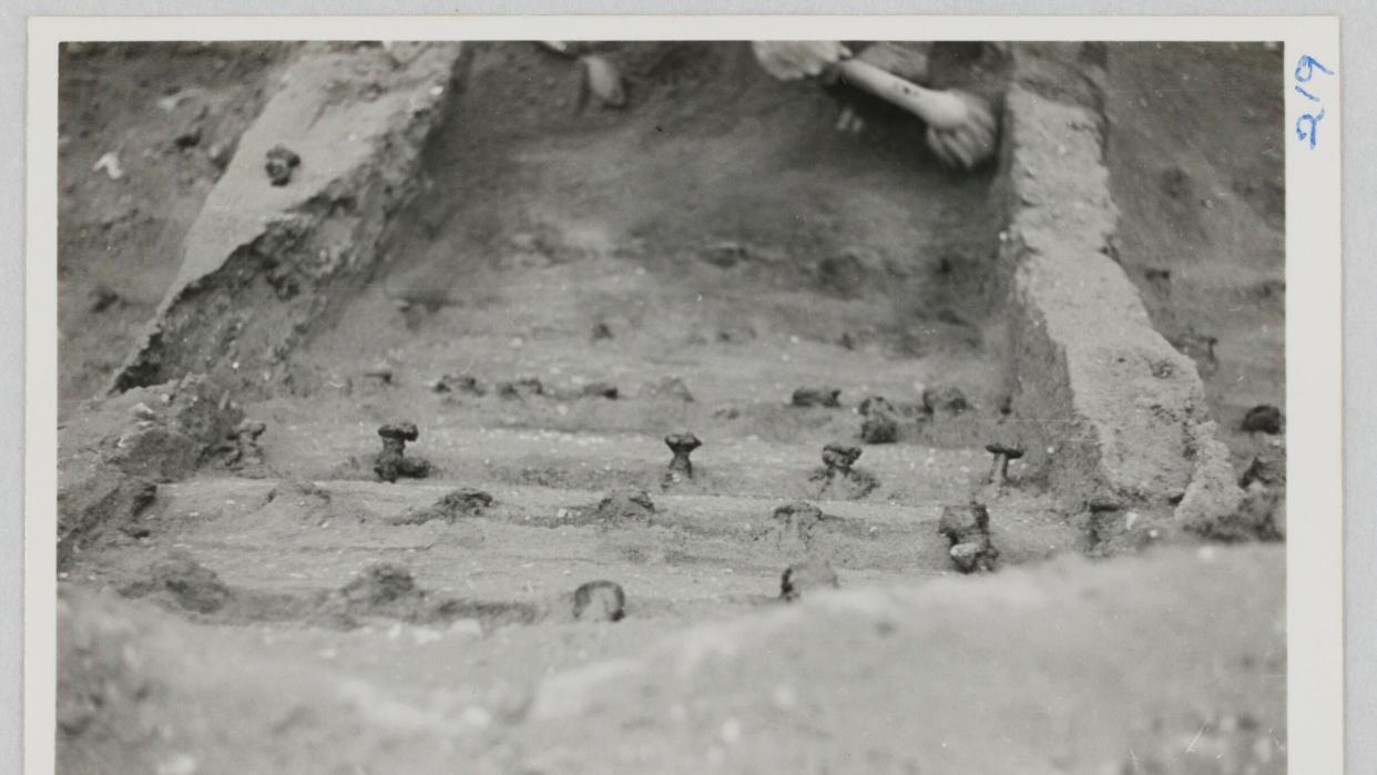 close up of rivets on Sutton Hoo ship