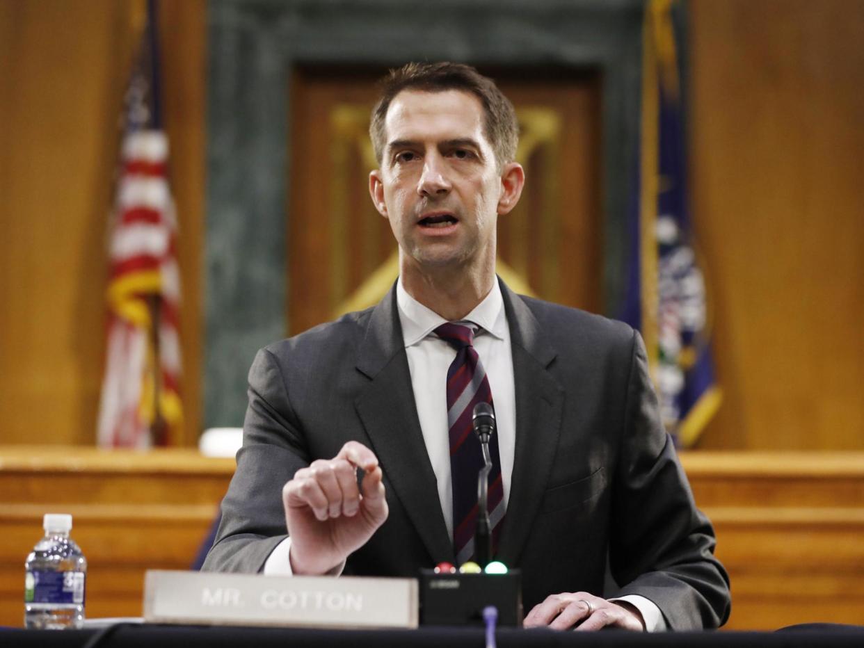 Tom Cotton speaking during a Senate Intelligence Committee nomination in May: (Getty Images)