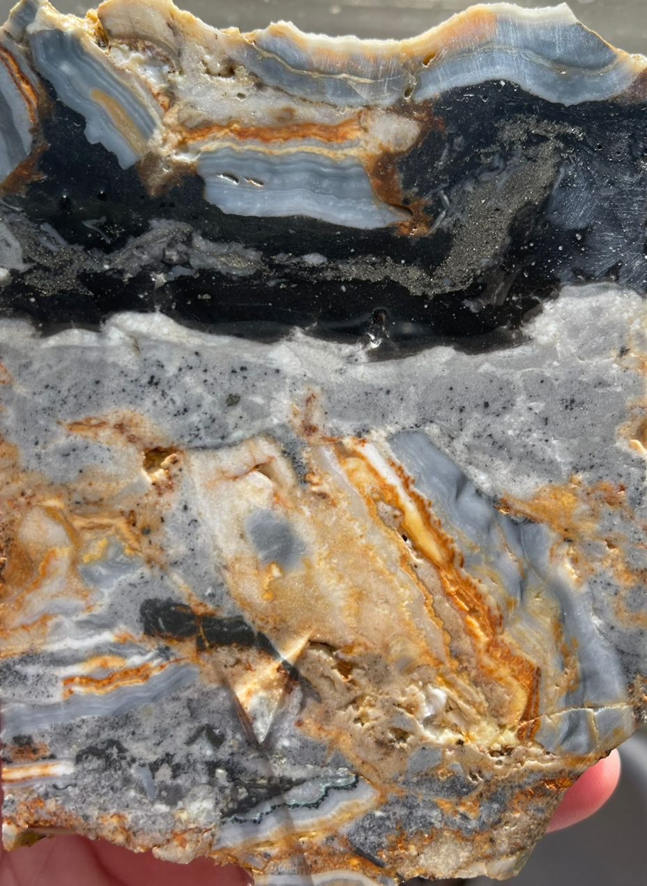 <strong>Photo 2: Breccia with multiple fragments of banded quartz-sulfide veins encased in fine-grained silica-sulfide (Sample AB00147). Field of view = 10 cm.</strong>