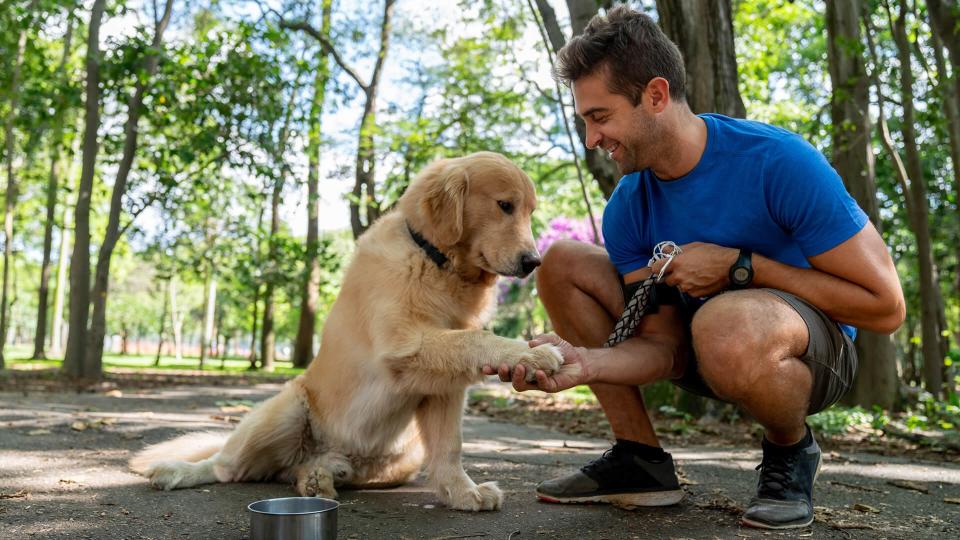 Happy Brazilian man training with his dog at the park asking him to give his paw - lifestyle concepts.