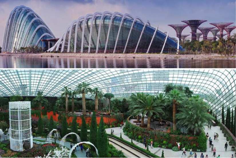 Image Credit: Gardens by the bay