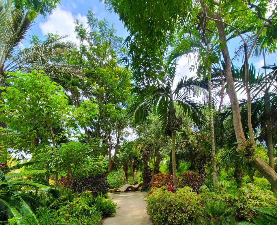 In addition to bringing new residents up to speed on plants in our area, A Newcomer's Guide to Gardening in South Florida also includes a walking tour at Mounts Botanical Garden.