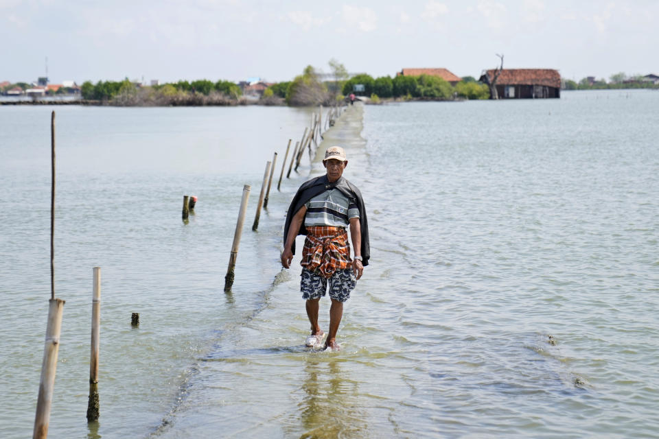 A man walks on a pathway that is partially submerged due to the rising sea levels in the village of Sidogemah, Central Java, Indonesia, Sunday, Nov. 7, 2021. World leaders are gathered in Scotland at a United Nations climate summit, known as COP26, to push nations to ratchet up their efforts to curb climate change. Experts say the amount of energy unleashed by planetary warming would melt much of the planet's ice, raise global sea levels and greatly increase the likelihood and extreme weather events. (AP Photo/Dita Alangkara)