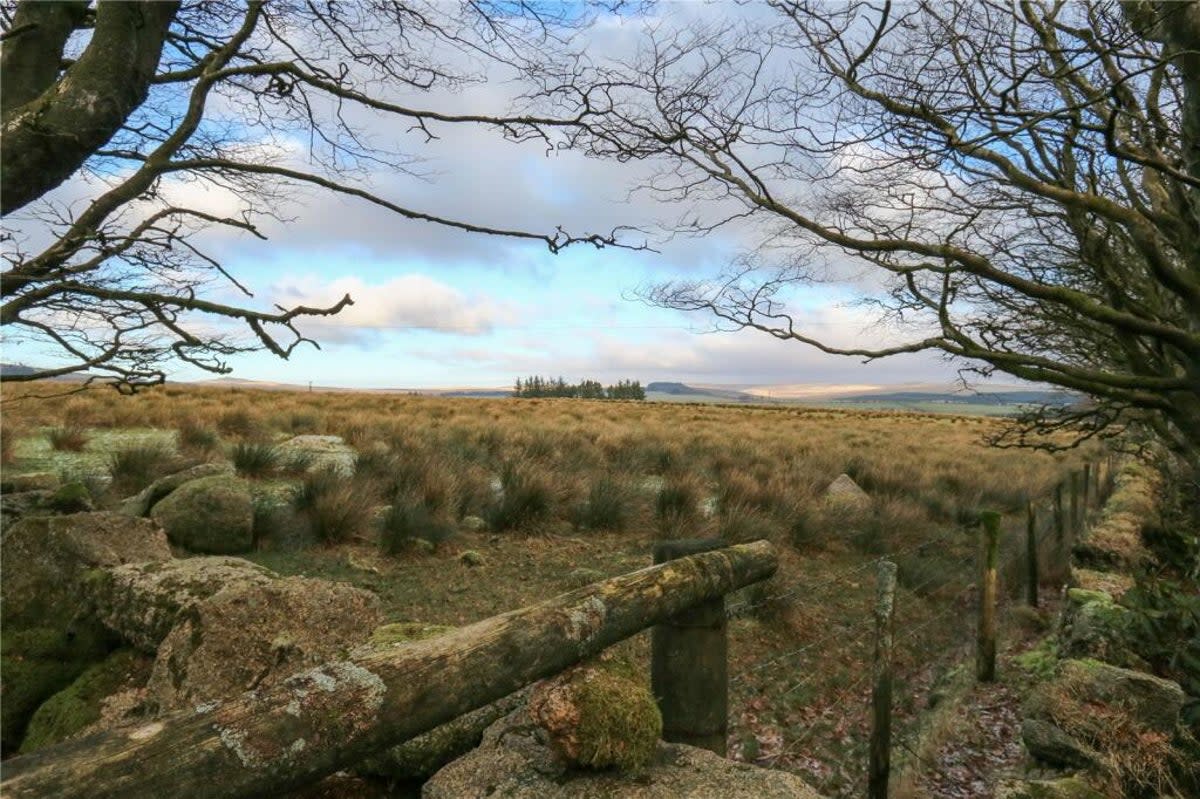 Most buyers will also choose to purchase the 12 acres of adjacent moorland (Mansbridge Balment)
