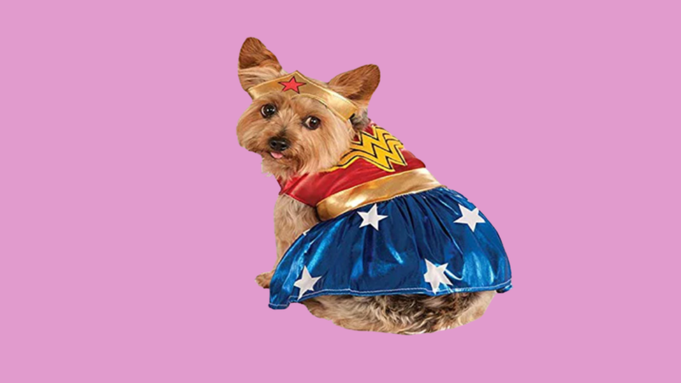 Popular Dog Costumes: Rubie's Wonder Woman Deluxe Pet Costume