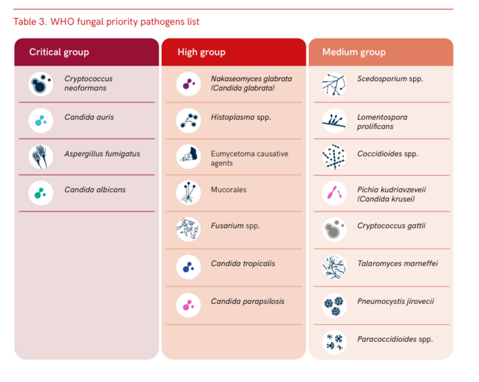 The World Health Organisation has published its first ever list of lethal fungal infections (WHO)