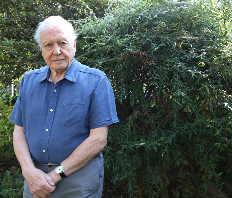 Attenborough has had nine plants and animals named after him