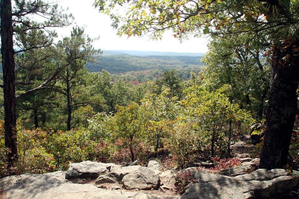 The Whispering Pines Trail leads to sandstone knobs with outstanding views of Hawn State Park.