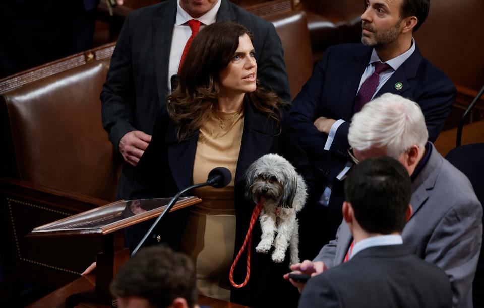 Rep-elect Nancy Mace holds a dog in the House chamber