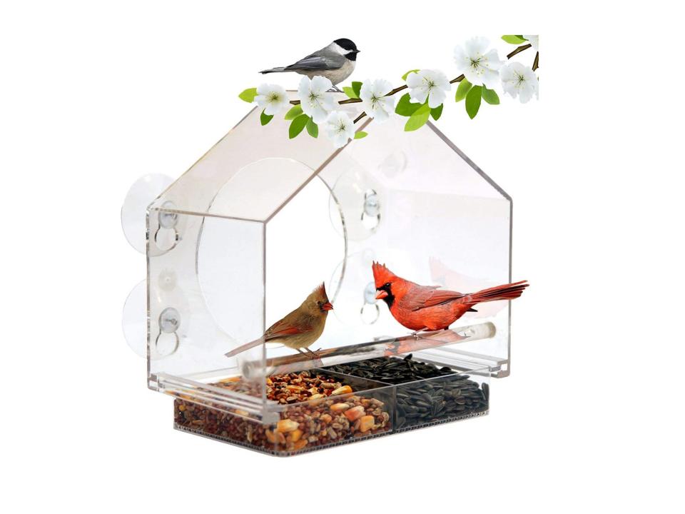 Nature Anywhere Window Bird House Feeder