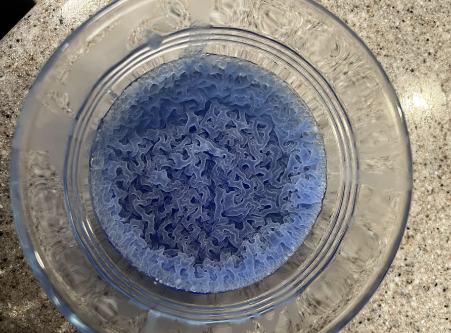 Glass bowl on a counter with a blue sponge sitting in water