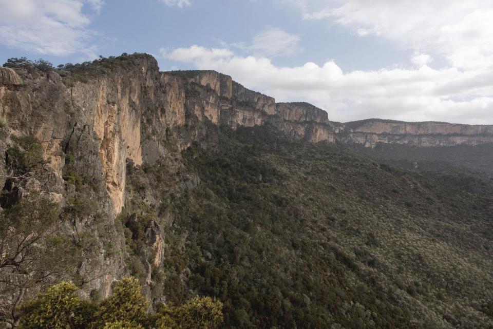 This Thursday Aug. 4, 2016 shows cliffs near Daalo in the Cal Madow mountains in Somaliland, a breakaway region of Somalia. The last wild frankincense forests on Earth are under threat as prices rise with the global appetite for essential oils. Overharvesting has trees dying off faster than they can replenish, putting the ancient resin trade at risk. (AP Photo/Jason Patinkin)