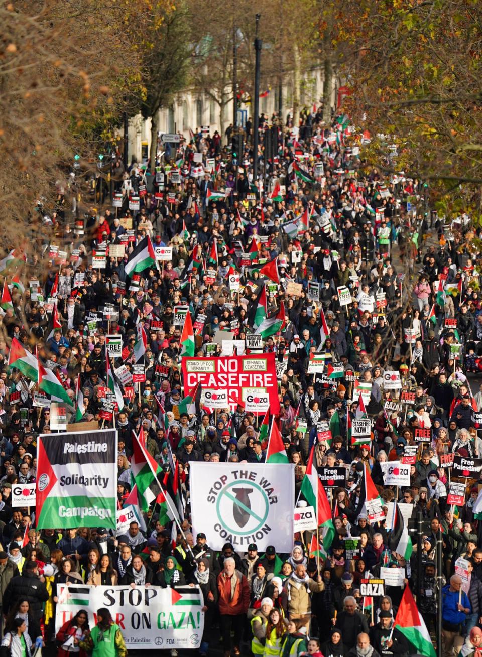 Protesters on Embankment during the pro-Palestine march (James Manning/PA Wire)