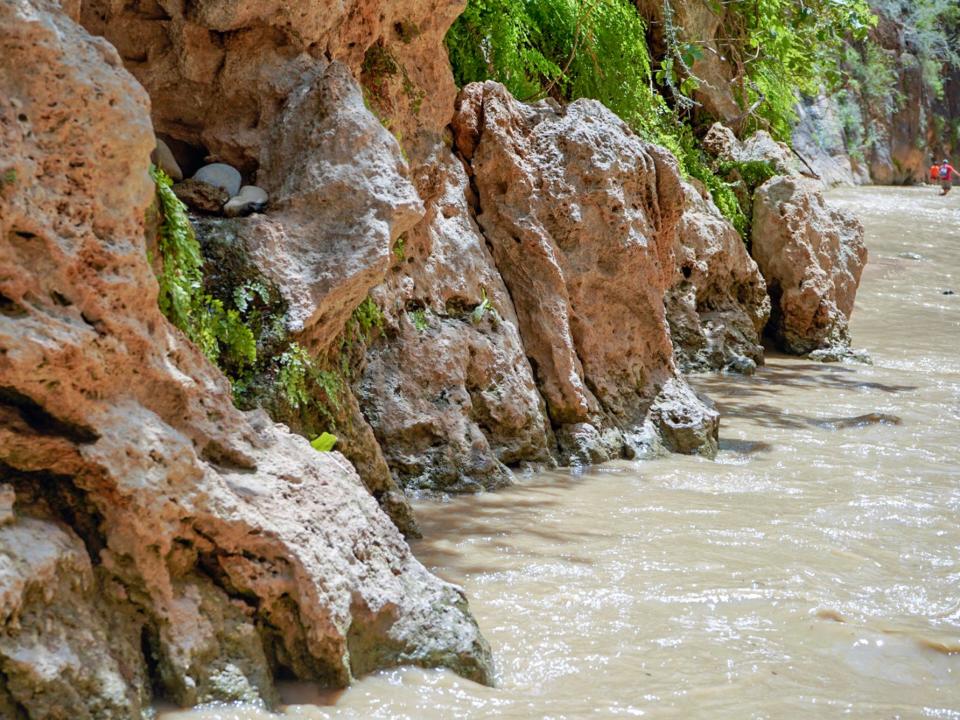 the narrows at zion