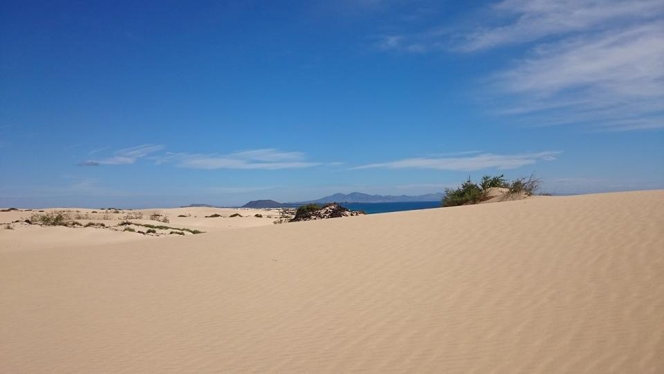 Fuerteventura, nell’arcipelago delle Canarie, è un paradiso per gli appassionati di sport acquatici, in particolare per chi pratica kitesurf e windsurf. Proprio il vento, che richiama ogni anno moltissimi sportivi, ha creato nella costa nord-orientale dell’isola le dune di sabbia, parte del Parque Natural de Corralejo. (Pixabay)