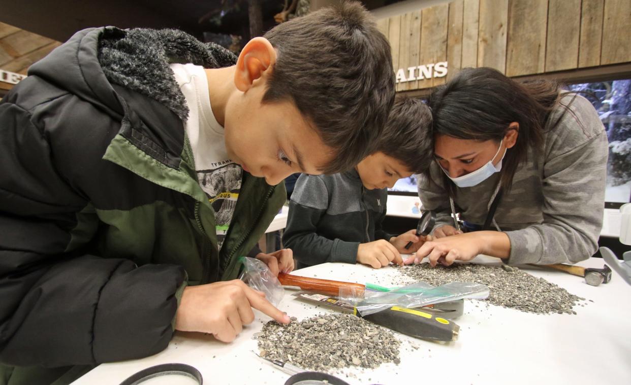 Caleb Rodrigues looks for fossils at the Mini Fossil Dig along with his younger brother, Landon Rodrigues, and their mother, Shannon Rodrigues, during the Fossil Fair held Saturday, Feb. 26, 2022, at the Schiele Museum in Gastonia.