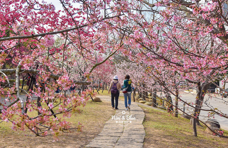 台中后里｜2021 中科崴立櫻花公園