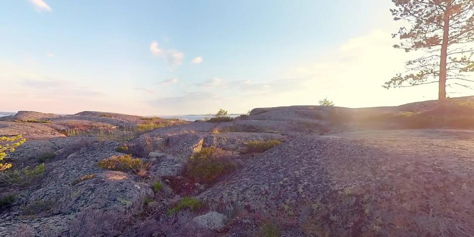 A purpleish rocky landscape shows a sun in the background along with a pine tree.