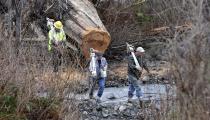 Volunteers with chainsaws cross a small creek as they head to the scene of a deadly mudslide Tuesday, March 25, 2014, in Oso, Wash. At least 14 people were killed in the 1-square-mile slide that hit in a rural area about 55 miles northeast of Seattle on Saturday. Several people also were critically injured, and homes were destroyed. (AP Photo/Elaine Thompson)