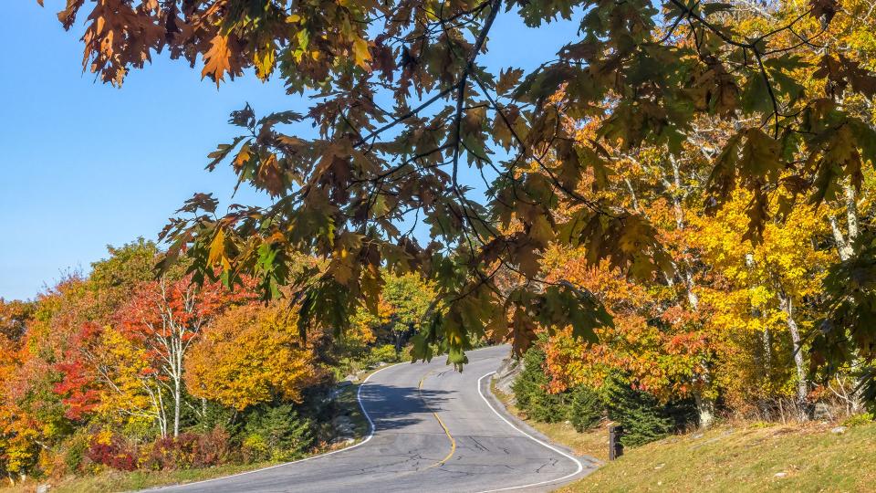 Oct. 11, 2022: Today’s photo is from near Split Rock. This location has experienced a lot of color development the last few days and provides colorful walking paths, scenic picnic spots and long-range fall views from overlooks in the Animal Habitats and near Split Rock.