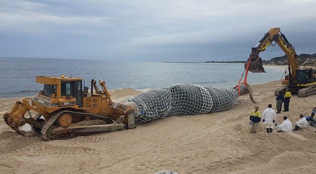 The carcass has been wrapped up and is ready to be moved. Source: Hopetoun Progress Association