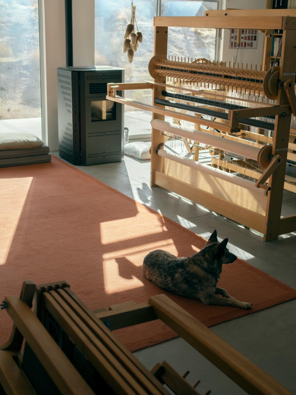 One of Zittel’s dogs, Owl, lounging in the weaving studio. Zittel makes the studio available to a tight-knit community of local and visiting weavers.