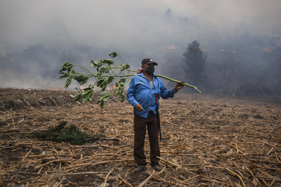 A villager works to contain wildfires in Nogales, in the High Mountains area of Veracruz state, Mexico, Monday, March 25, 2024.(AP Photo/Felix Marquez)