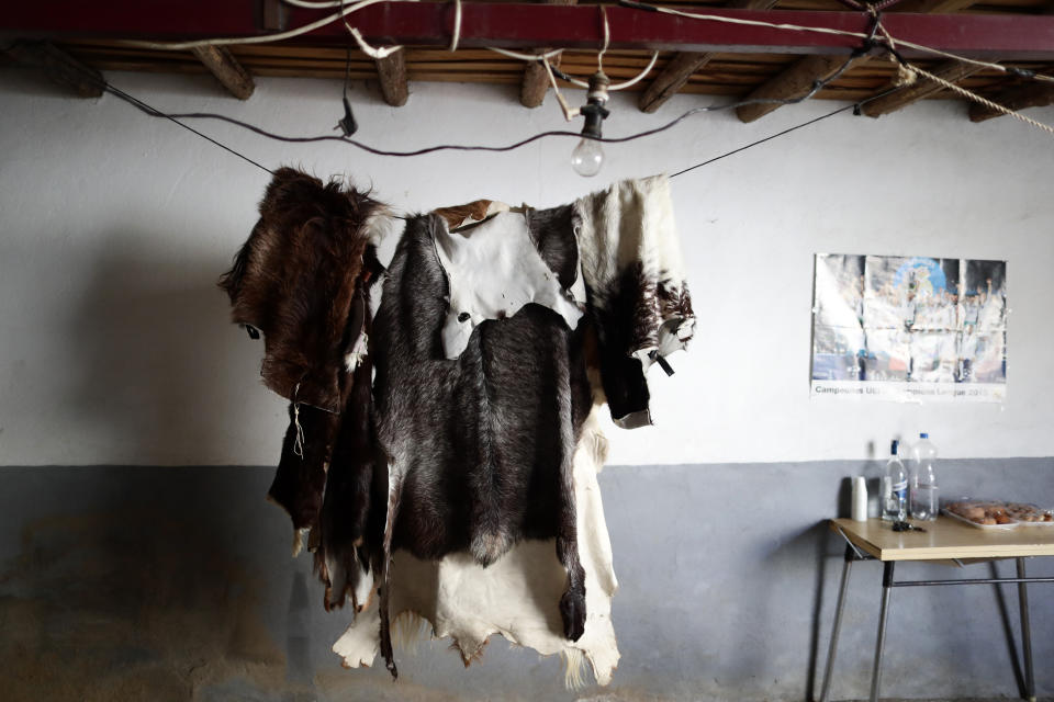 In this photo taken on Monday, Jan. 20, 2020, traditional costumes hang before taking part in the traditional "Las Carantonas" festival in Acehuche, Spain. The Carantonas involves men pulling on animal hides that make them look like Chewbacca. At the Carantoñas festival in Acehuche, men are helped to pull on hairy, bulky costumes and scary masks before they walk down streets of whitewashed houses looking like wild beasts ("carantoñas"). Women parade in colorful embroidered shawls and skirts as music plays. (AP Photo/Manu Fernandez)