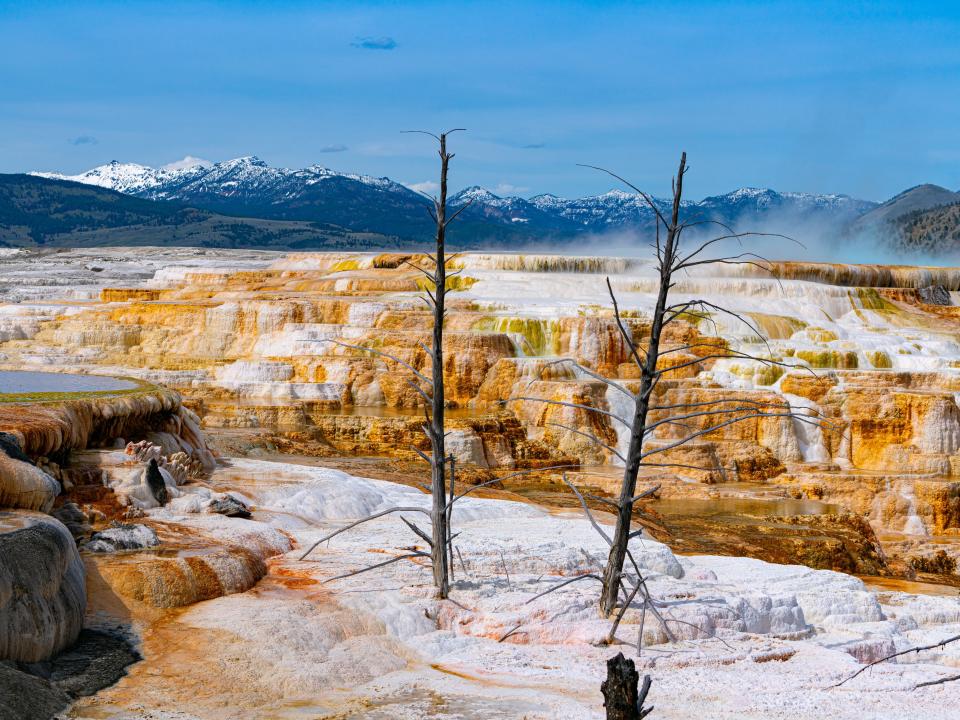 The orange rocks seen around 'Old' Canary Spring in Mammoth Hot Springs at Yellowstone National Park.