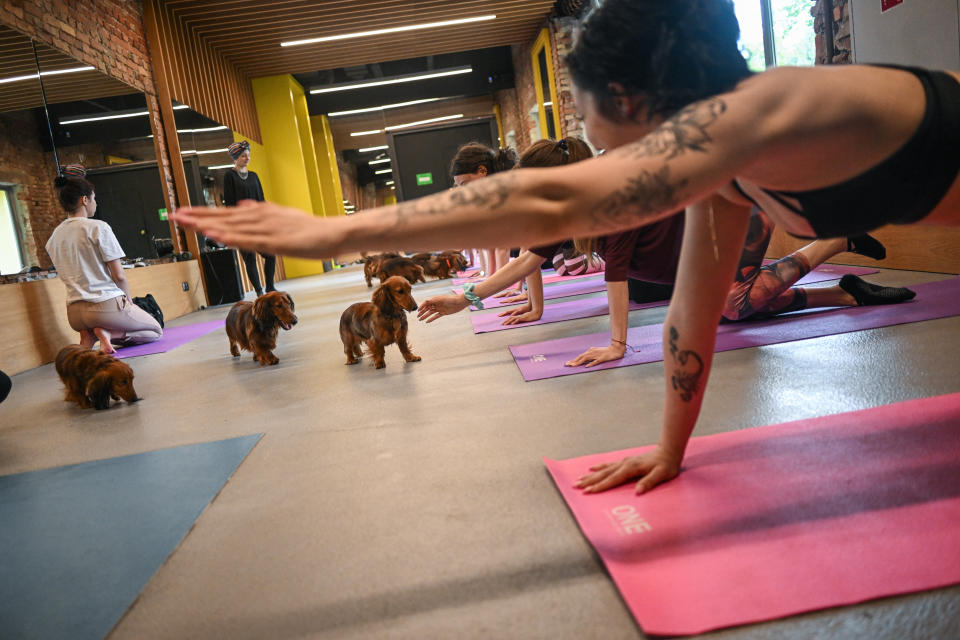 Participants pet puppies during the yoga class on June 10, 2023 in Krakow, Poland. Natalia, who owns the first rabbit cafe in Poland and is an animal lover, recently started the first yoga classes with dogs in Krakow. Inspired by US yoga dog classes, she partners with Ania, a professional dog breeder who is responsible for bringing in the puppies. The classes take place during weekends and participants have the chance to pet and relax with the dogs and at the same time, the animals have the chance to meet strangers. (Photo by Omar Marques/Anadolu Agency via Getty Images)