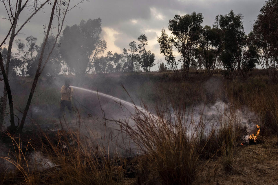 An Israeli firefighter attempts to extinguish a fire caused by an incendiary balloon on the Israeli side of the border between Israel and Gaza Strip, Sunday, Aug. 30, 2020. (AP Photo/Tsafrir Abayov)