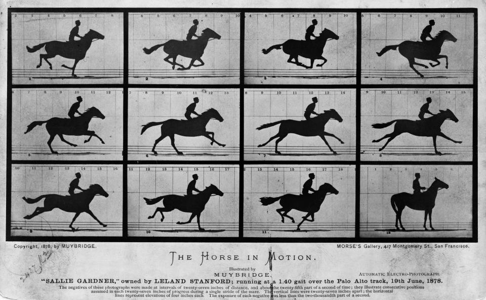 El caballo en movimiento de Eadweard Muybridge. (Imagen de la Biblioteca del Congreso de EEUU)